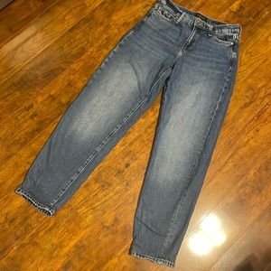 Banana Republic High Rise Barrel Fit